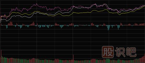 怎樣看<a href=http://m.123cyq.com/GPRM/sy/1798.html target=_blank class=infotextkey>大盤</a>和股票的分時(shí)走勢圖